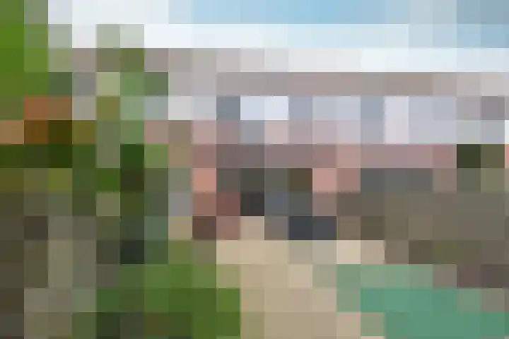 Erasmushof 24 Huizen thumbnail 12