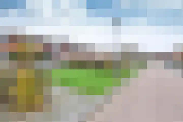 Erasmushof 24 Huizen thumbnail 14