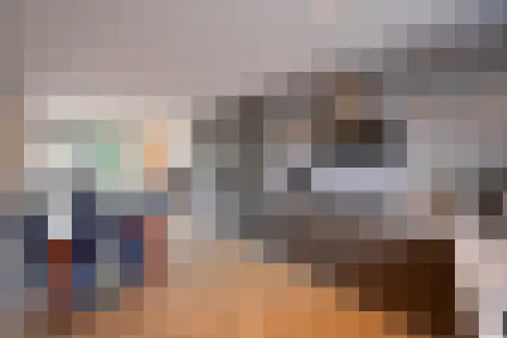 Erasmushof 24 Huizen thumbnail 4