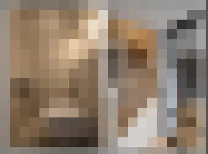 Erasmushof 24 Huizen thumbnail 6
