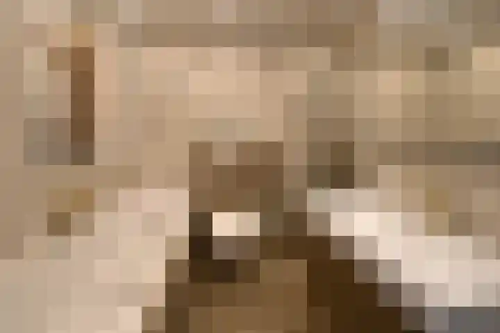 Erasmushof 24 Huizen thumbnail 7