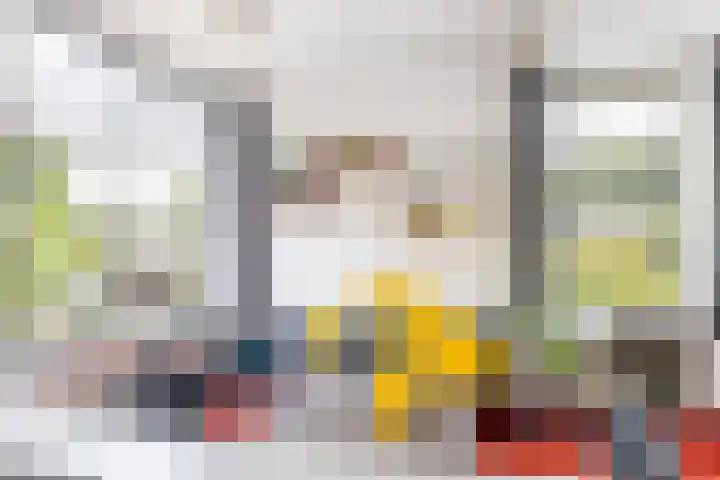 Erasmuslaan 1 A Utrecht thumbnail 10