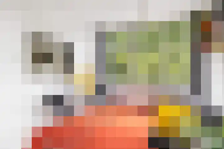 Erasmuslaan 1 A Utrecht thumbnail 11