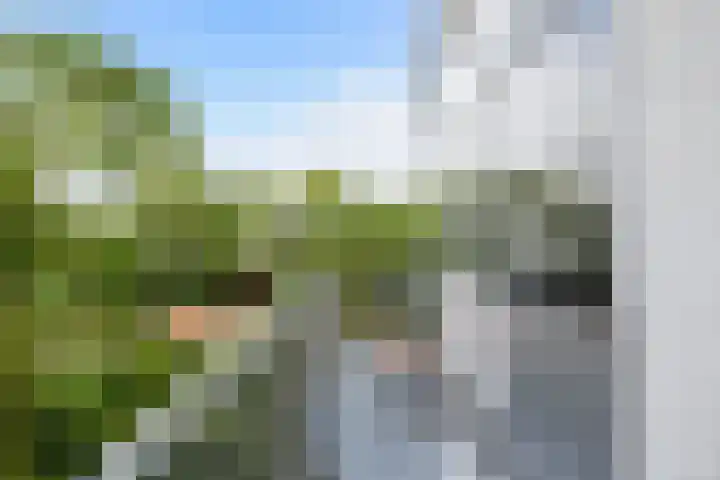 Erasmuslaan 1 A Utrecht thumbnail 12