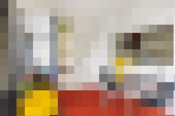 Erasmuslaan 1 A Utrecht thumbnail 13