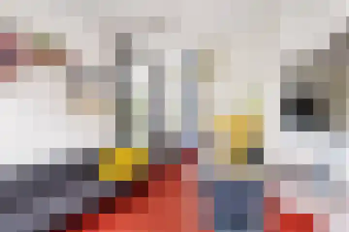 Erasmuslaan 1 A Utrecht thumbnail 14