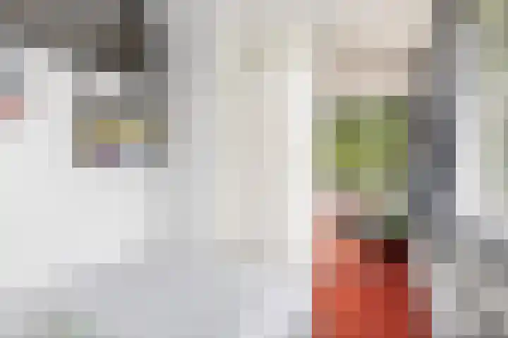 Erasmuslaan 1 A Utrecht thumbnail 17