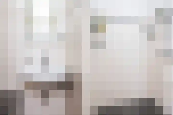 Erasmuslaan 1 A Utrecht thumbnail 18