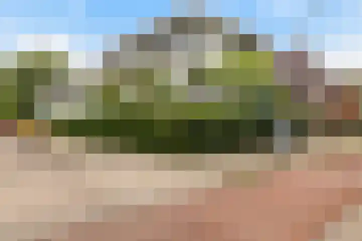 Erasmuslaan 1 A Utrecht thumbnail 20