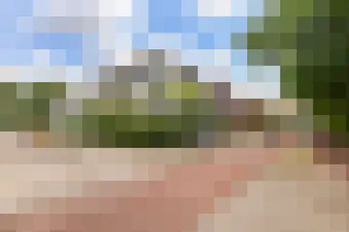 Erasmuslaan 1 A Utrecht thumbnail 21