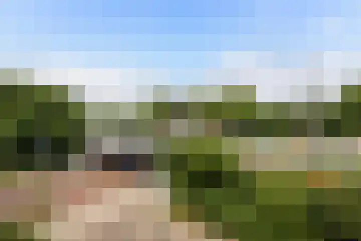 Erasmuslaan 1 A Utrecht thumbnail 24