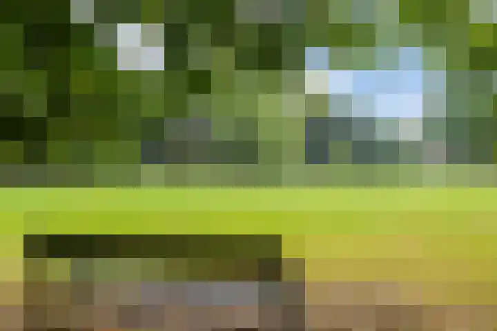 Erasmuslaan 1 A Utrecht thumbnail 26