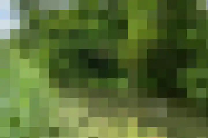 Erasmuslaan 1 A Utrecht thumbnail 27