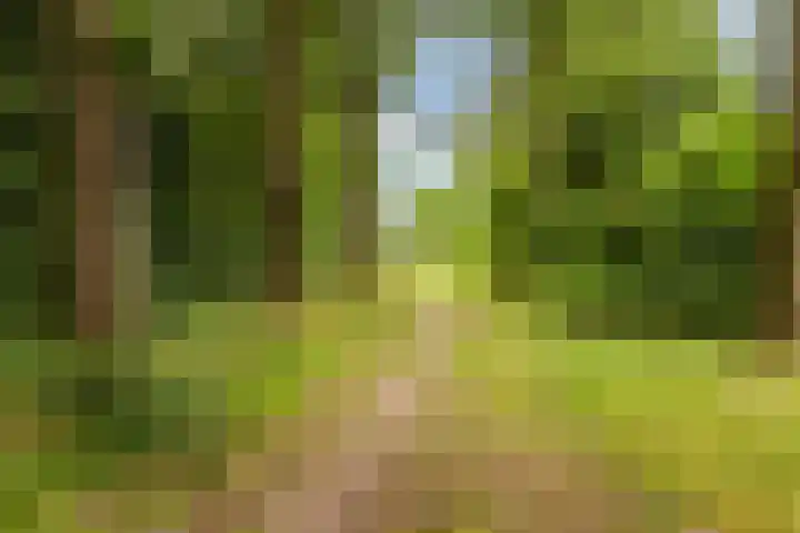 Erasmuslaan 1 A Utrecht thumbnail 28