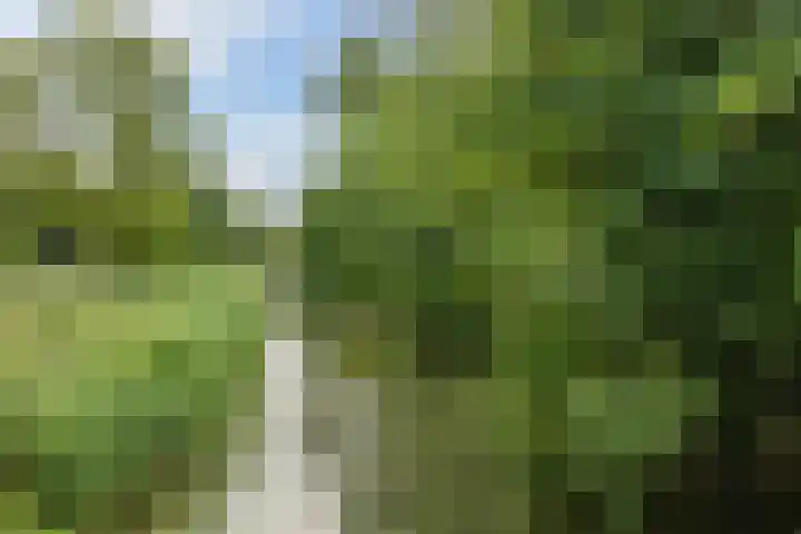Erasmuslaan 1 A Utrecht thumbnail 29