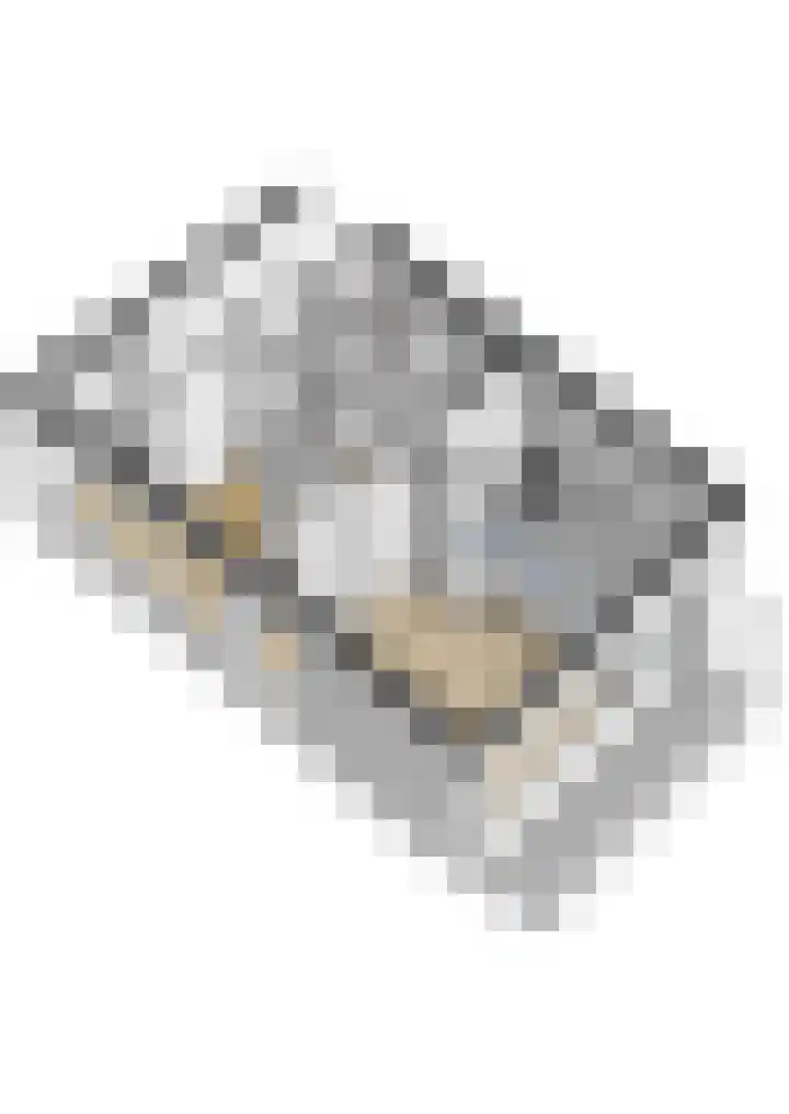 Erasmuslaan 1 A Utrecht thumbnail 34