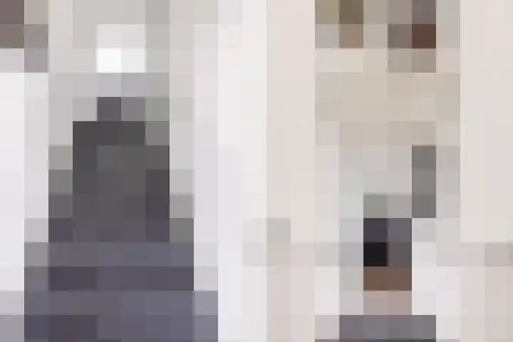 Erasmuslaan 1 A Utrecht thumbnail 6