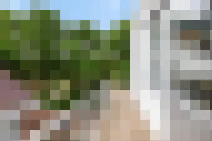 Erasmuslaan 1 B Utrecht thumbnail 11