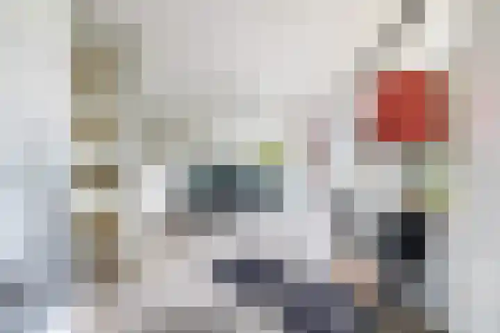 Erasmuslaan 1 B Utrecht thumbnail 18