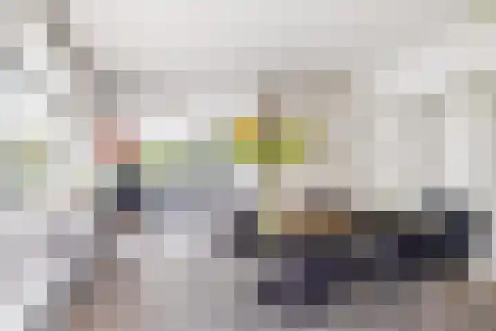 Erasmuslaan 1 B Utrecht thumbnail 21