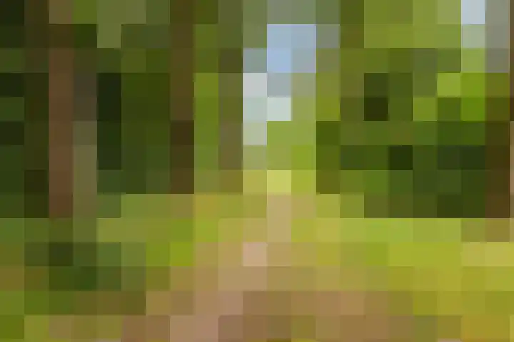 Erasmuslaan 1 B Utrecht thumbnail 31