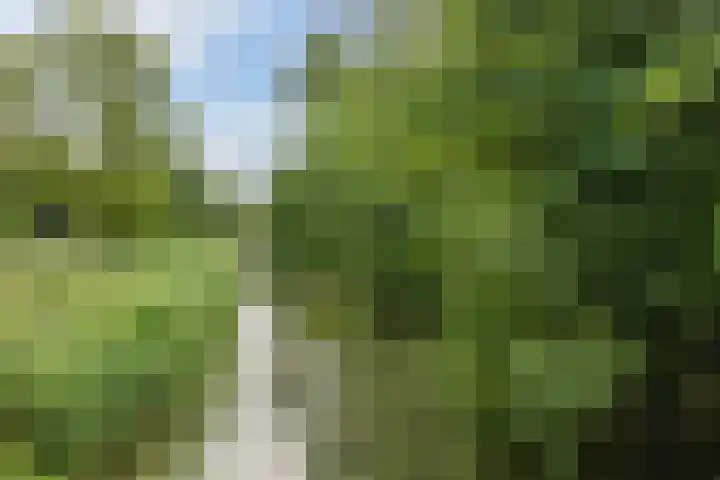 Erasmuslaan 1 B Utrecht thumbnail 32