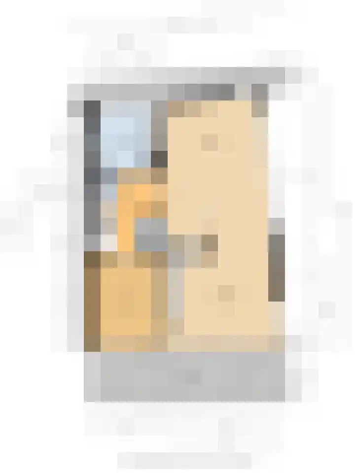 Erasmuslaan 1 B Utrecht thumbnail 35