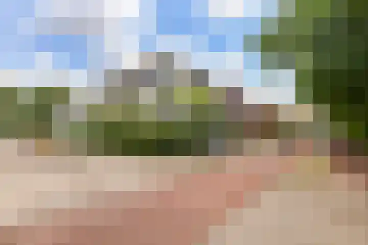 Erasmuslaan 1 B Utrecht thumbnail 6