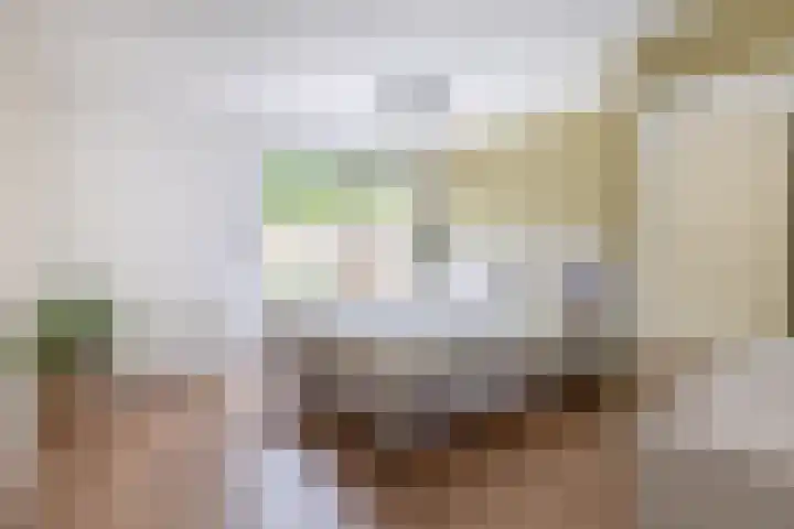 Erasmuslaan 12 Ridderkerk thumbnail 20