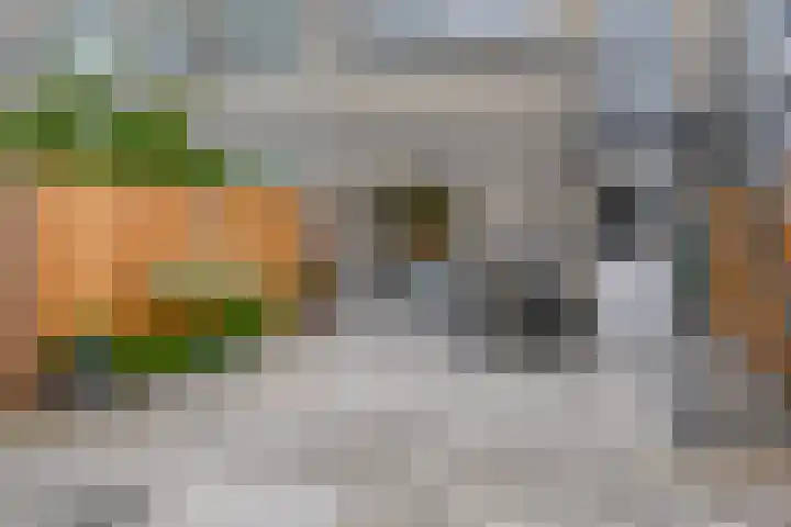 Erasmuslaan 12 Ridderkerk thumbnail 4