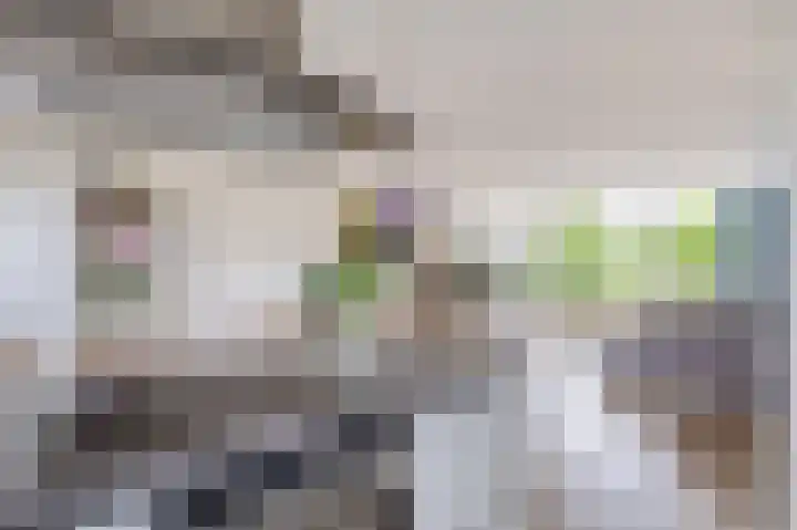 Erasmuslaan 12 Ridderkerk thumbnail 40