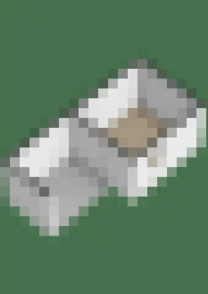Erasmuslaan 12 Ridderkerk thumbnail 66