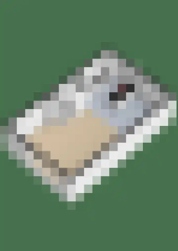 Erasmuslaan 12 Ridderkerk thumbnail 68