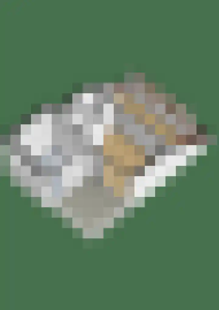 Erasmuslaan 12 Ridderkerk thumbnail 84