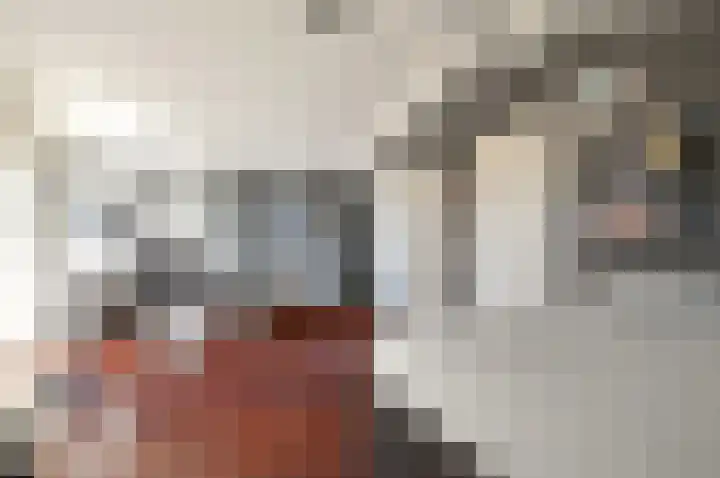 Erasmuslaan 13 Zeist thumbnail 28