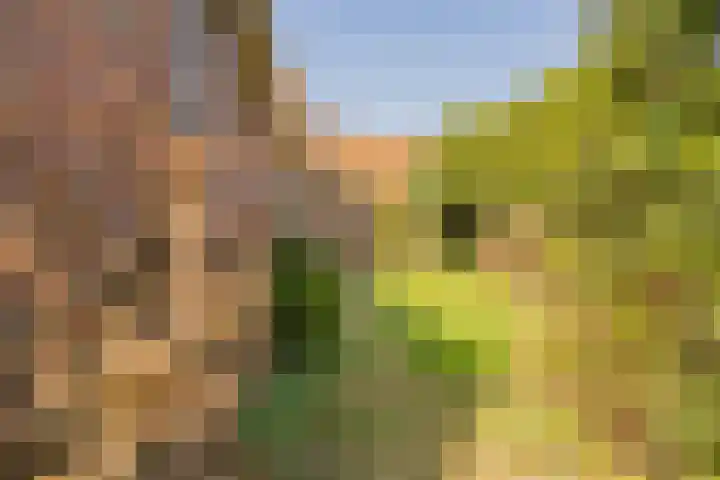 Erasmuslaan 13 Zeist thumbnail 31