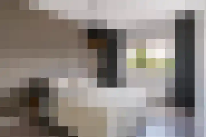 Erasmuslaan 13 Zeist thumbnail 36