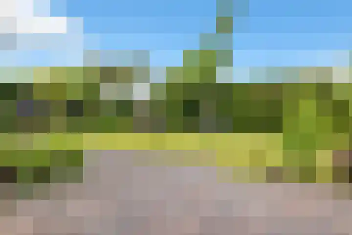 Erasmuslaan 13 Zeist thumbnail 43