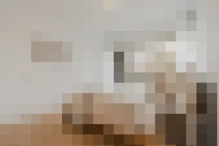 Erasmuslaan 14 Amstelveen thumbnail 17