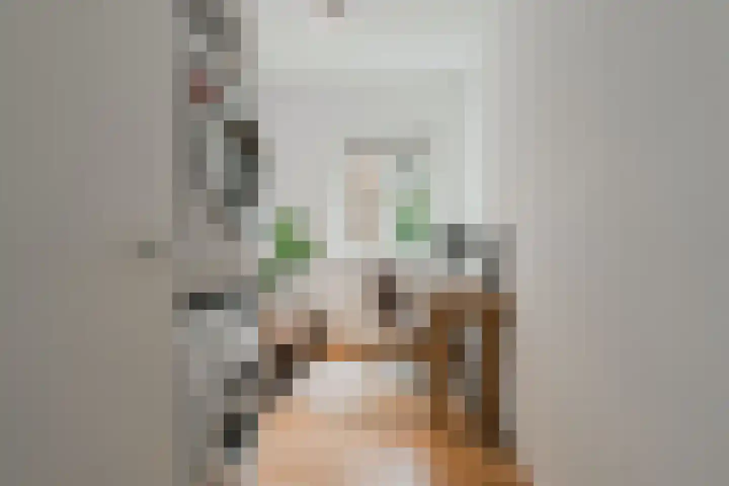 Erasmuslaan 14 Amstelveen thumbnail 19