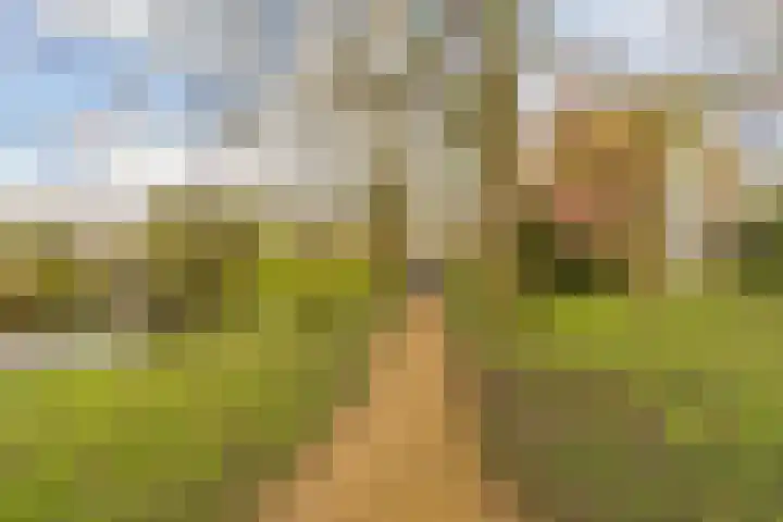 Erasmuslaan 14 Amstelveen thumbnail 28