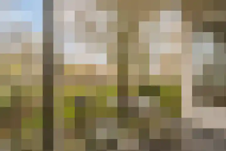 Erasmuslaan 14 Amstelveen thumbnail 5