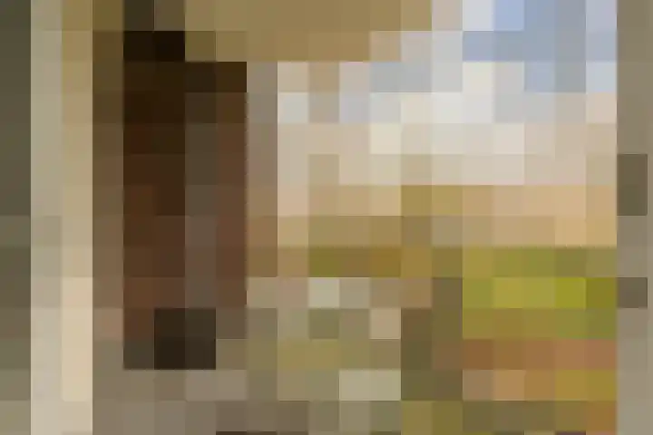Erasmuslaan 14 Amstelveen thumbnail 6