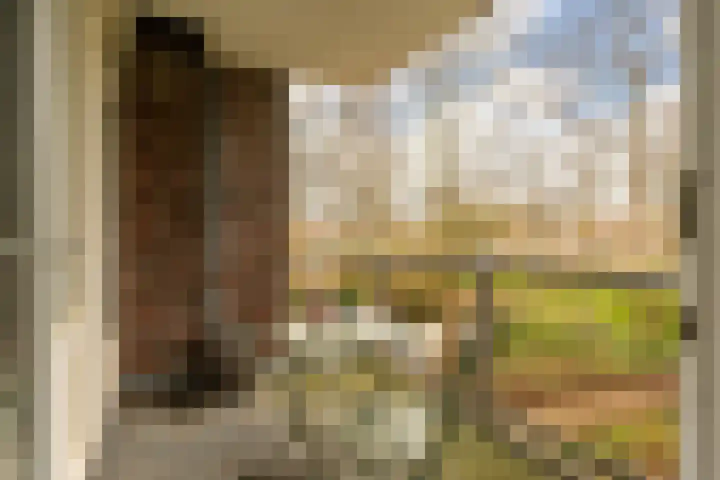 Erasmuslaan 14 Amstelveen thumbnail 6