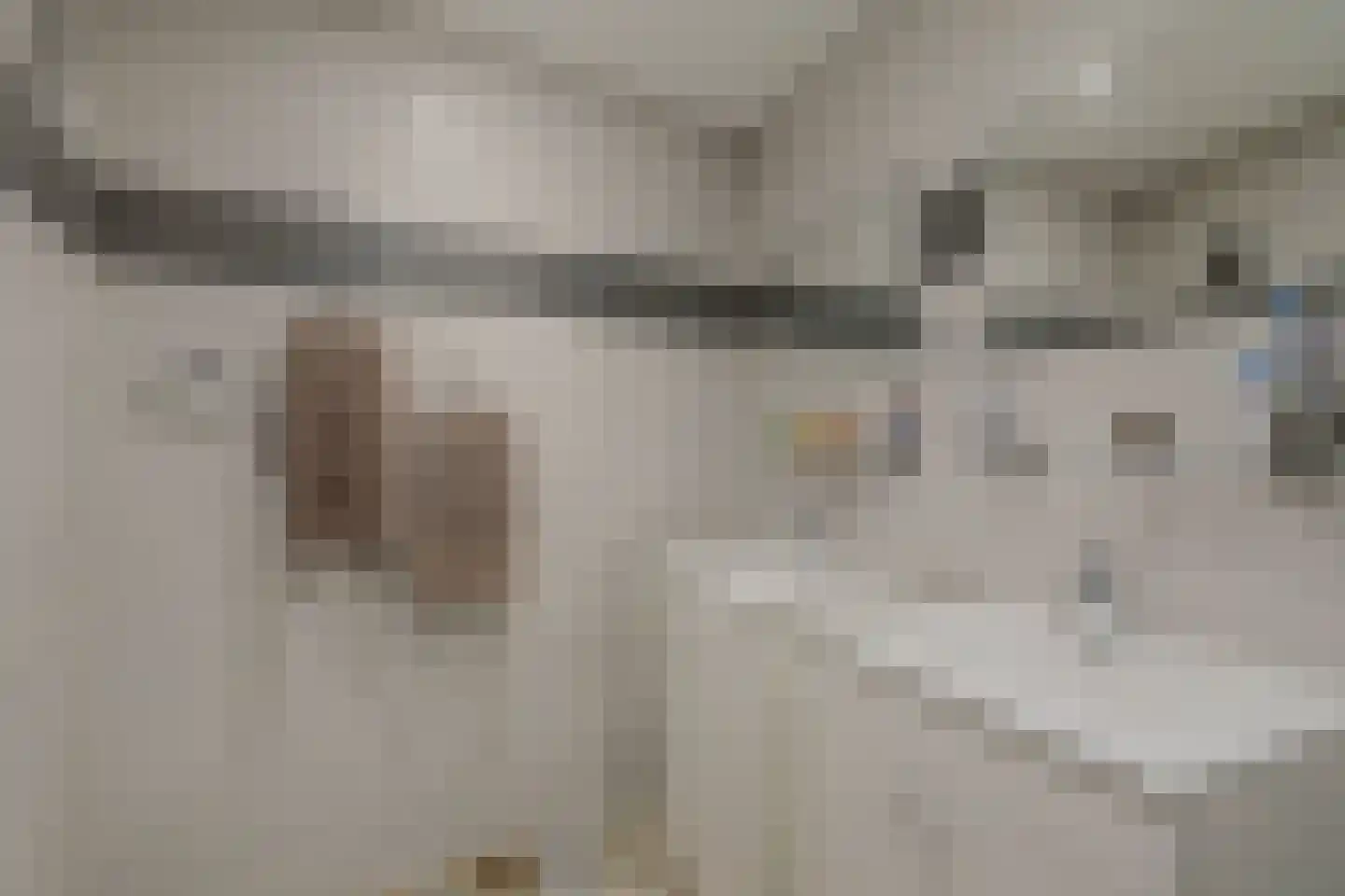 Erasmuslaan 14 Ridderkerk thumbnail 19