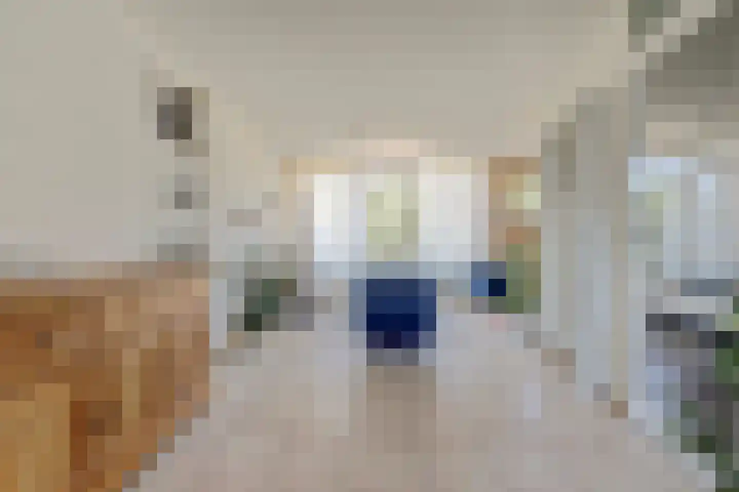 Erasmuslaan 14 Ridderkerk thumbnail 26