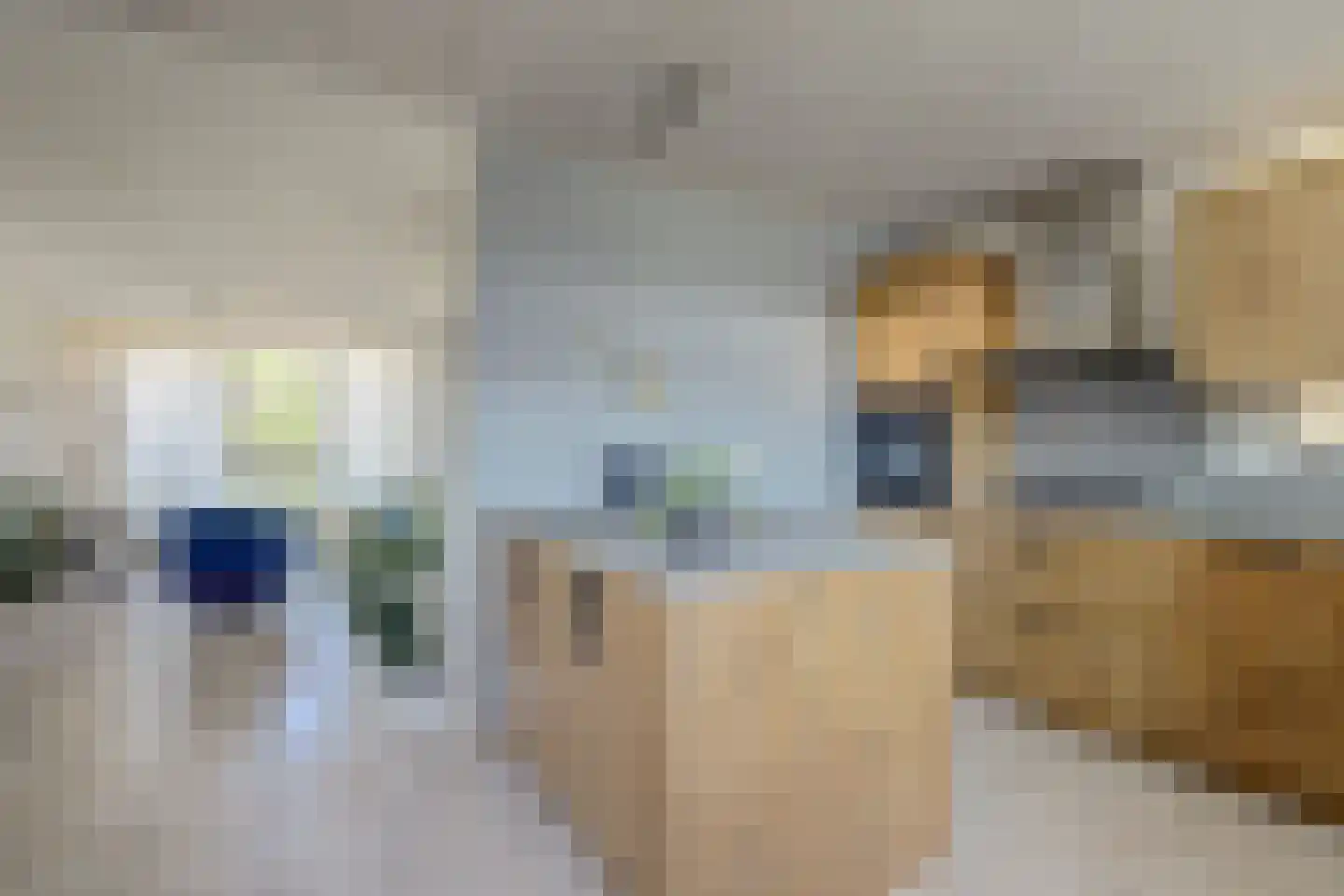 Erasmuslaan 14 Ridderkerk thumbnail 28