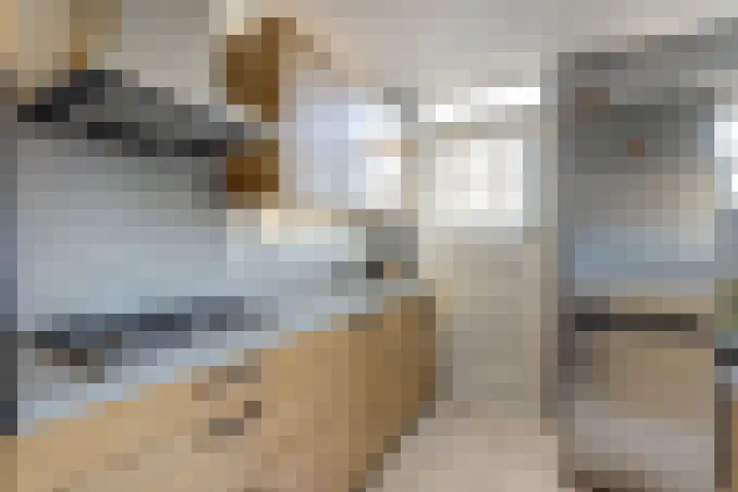 Erasmuslaan 14 Ridderkerk thumbnail 29