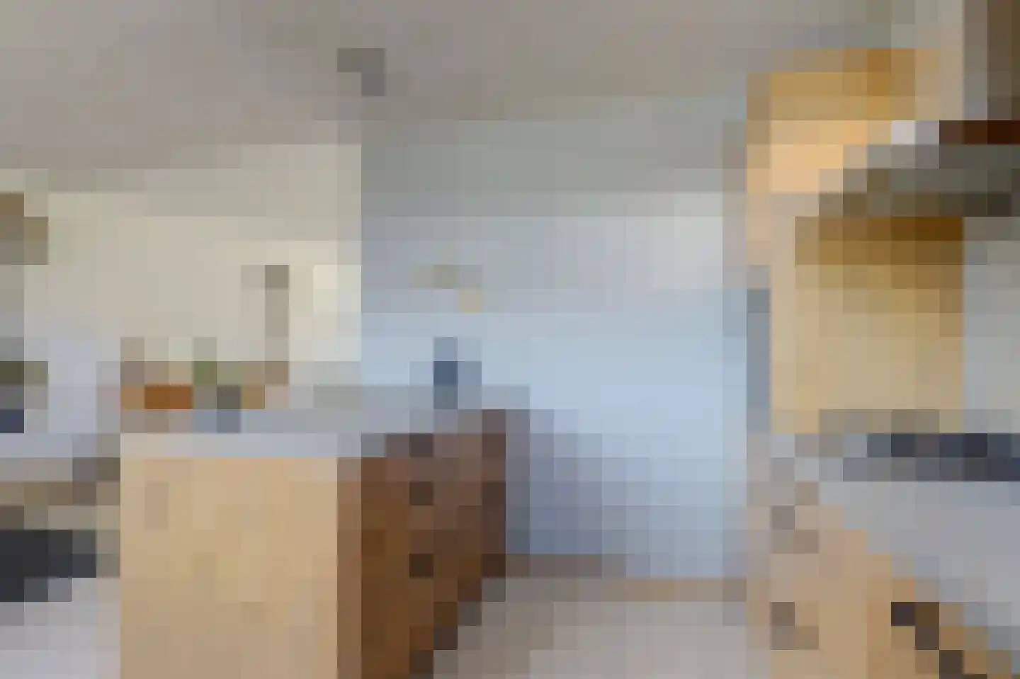 Erasmuslaan 14 Ridderkerk thumbnail 30