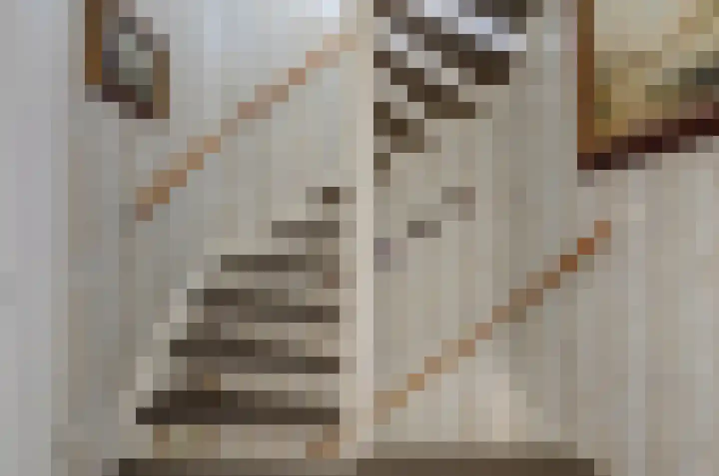 Erasmuslaan 14 Ridderkerk thumbnail 32
